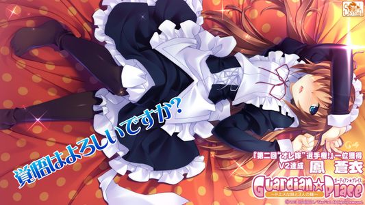 [130426] [SkyFish] Guardian☆Place ～ドエスな妹と3人の嫁～ + Original Soundtrack + Manual [H-Game]