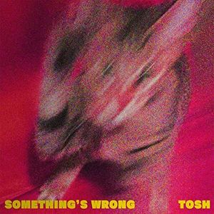 [Single] TOSH - Something's Wrong [FLAC / WEB] [2022.12.21]