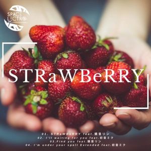 [M3-44] Spacelectro - STRaWBeRRY (2019) [FLAC]