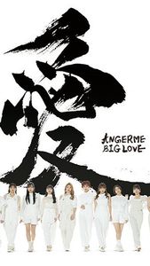 [MUSIC VIDEO] ANGERME - BIG LOVE Limited A Disc 3 (BDISO)