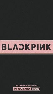 [MUSIC VIDEO] 블랙핑크 - BLACKPINK 2018 WORLD TOUR [IN YOUR AREA] SEOUL DVD (2019.08.08) (DVDRIP)
