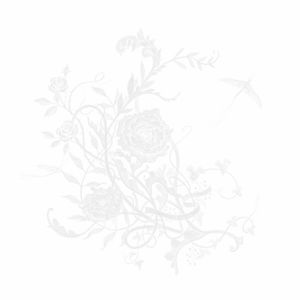 [Single] Aimer - 白色蜉蝣 [FLAC / 24bit Lossless / WEB] [2023.12.06]