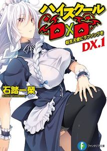 ハイスクールＤ×Ｄ DX 第01-07巻 [High School DxD DX (Novel) vol 01-07]