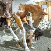 [150325][Animopron] Lara with horse
