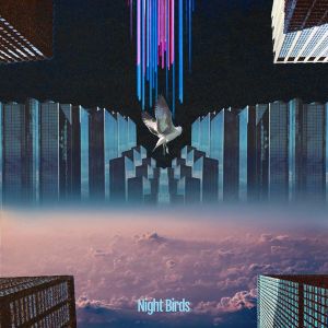 [Single] Tokimeki Records - Night Birds (feat. Froya & 宮脇翔平) [FLAC / 24bit Lossless / WEB] [2021.05.19]