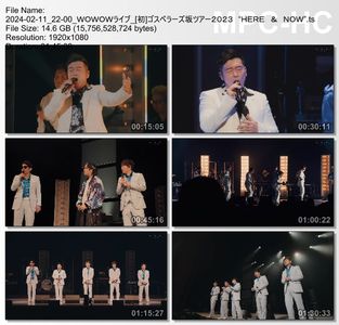 [TV-Variety] ゴスペラーズ坂ツアー2023 "HERE & NOW" (WOWOW Live 2024.02.11)